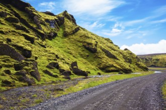 The summer blossoming Iceland. Canyon Pakgil - green grass and moss on fantastic rocks. On canyon