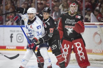 LanxessArena, Cologne, North Rhine-Westphalia, Jan-Luca Sennehnn (Cologne Sharks, #17), Tom