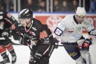 Cologne, LanxessArena, North Rhine-Westphalia, Kevin Niedenz (Cologne Sharks, #46), PENNY DEL,