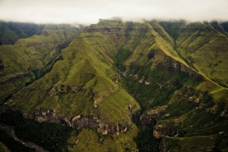 Clouds, mountains, ridge, gorge, forest, meadows, rocks, cliffs, Bonjaneni, KwaZulu-Natal, South
