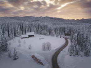 Snow covered winter forest landscape aerial view with pines and mountains in the background. Cold