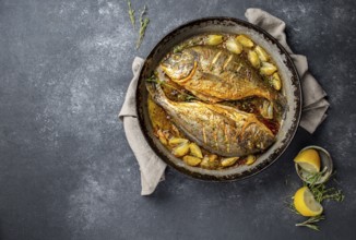 Food, Food, Baked sea bream or dorada with onion and herbs in pan on dark background