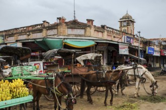 Tonga stand at Laxmi Market, Miraj, Maharashtra, India, Asia