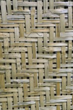 Bamboo strips wall, Pune, Maharashtra, India, Asia