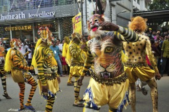 Pulikali Tiger Dance procession, Onam festival, Thrissur, Kerala, India, Asia