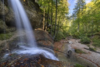 Tranquil waterfall flowing through a moss-covered forest with colourful autumn leaves, Hasenreuter