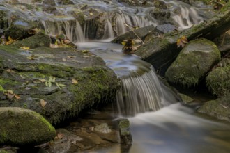 Small waterfall flows over moss-covered stones in the forest, Perlbachtal, Lower Bavaria