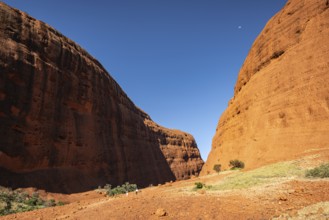 Kata Tjuta, formerly The Olgas, Walpa Gorge Area, Uluru-Kata Tjuta National Park, Northern