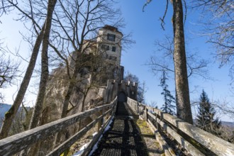Spring hike in the beautiful Danube valley, along the Kallenberg castle ruins, to Bronnen Castle