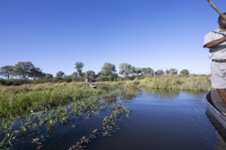 Mokoro, dugout canoe in the Okavango Delta, Khwai Northwest District, Moremi Game Reserve, Maun,