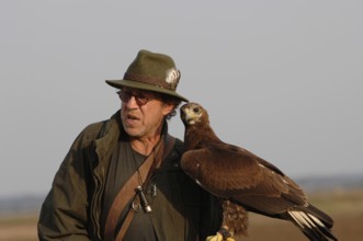 Falconer with golden eagle on his arm