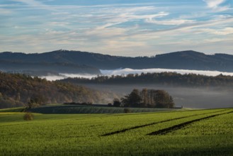 A hilly landscape shrouded in morning mist with green fields and forests in autumn light,