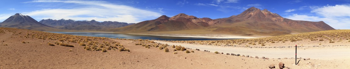 Laguna Miscanti in the Atacama Desert in Chile
