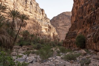 Hiking through the iconic Amtoudi canyon in the Anti-Atlas, Morocco