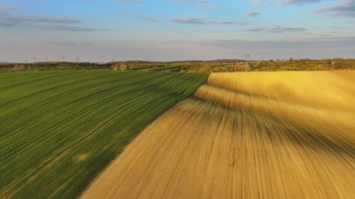Aerial view of amazing green wavy hills with agricultural fields in evening spring. South Moravia
