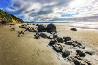 Sunny day on the beach. Low tide in the Pacific. Series of mysterious round boulders Moeraki and