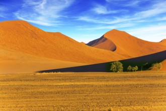 Sunset in the desert. Namibia, South Africa. Orange and yellow dunes of the Namib desert. The