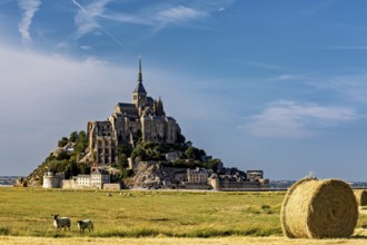 Mont Saint-Michel in a field with cows and bales of straw under a blue sky, Mont Saint Michel in