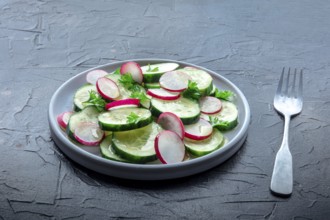 Fresh cucumber and radish salad with parsley, with a fork. Simple vegan recipe on a stone