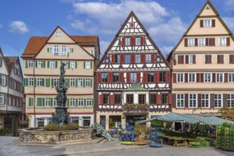 Historical houses of Market Square in Tubingen, Germany