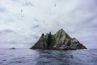 Sceilg Bheag, Skellig Rock Small, Ireland, United Kingdom