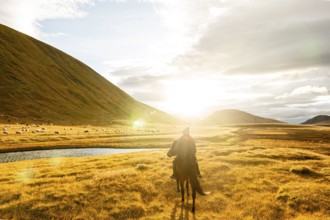 Regina Singelnstein on Icelandic horse, Skeida Op Gnüpverjahreppu on Landmanalaugar, Iceland