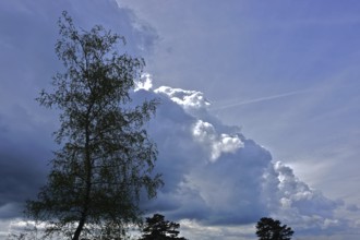 Thunderstorm is coming, storm clouds, Thunderstorm is coming, storm clouds
