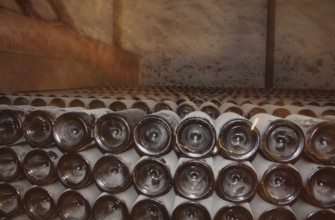 Wine growing in Chile has a long tradition. The country's unique climatic conditions, with warm