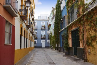 Seville Macarena barrio facades in Sevilla Spain
