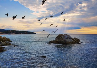 Lloret de Mar beach sunrise in costa Brava of Catalonia spain