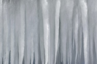 Icicles Background Varna, Bulgaria