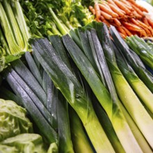 Vegetables from the weekly market market, fresh leek