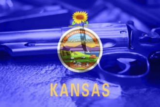 Kansas flag (U.S. state) Gun Control USA. United States Gun Laws