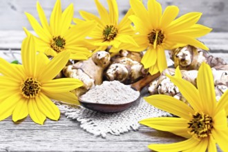 Jerusalem artichoke flour in a spoon on a burlap with flowers and vegetables on wooden board