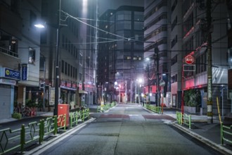 Alley back night view of Chuo-ku, Tokyo. Shooting Location: Tokyo metropolitan area