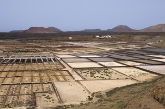 Salt is an important export for Lanzarote