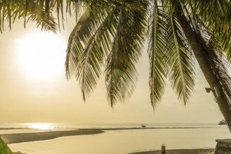 Koh samui
