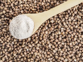 Buckwheat flour in wooden spoon and buckwheat grains. Whole-grain buckwheat flour on buckwheat