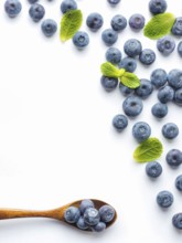 Blueberries isolated on white background. Blueberry border design. Ripe and juicy fresh picked