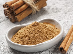 Ground cinnamon on gray background