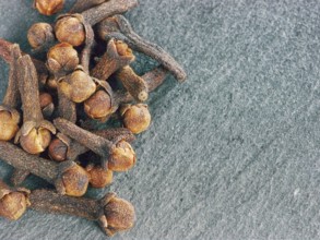 Cloves spice on gray slate background with copy space. Isolated one edge. Top view or flat lay