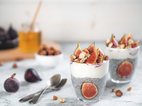Healthy chia pudding with yogurt, figs and nuts in glass. Ideas and recipes for healthy breakfast,