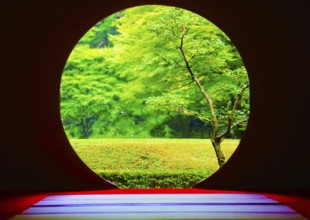 Early summer of Meigetsuin. Shooting Location: Kamakura, Kanagawa Prefecture