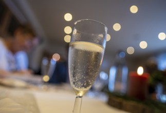 Filled champagne glass at a birthday party, Germany