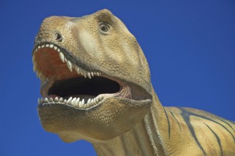 Germany, Hesse, Frankfurt/Main, Senckenberg Museum, Tyrannosaurus Rex, Frankfurt/Main, Hesse,