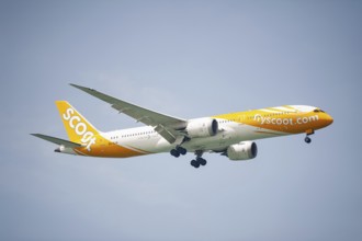 30.07.2023, Singapore, Republic of Singapore, Asia, A Scoot Airlines passenger aircraft of the type