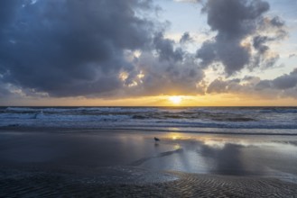 Sea level at sunrise with clouds and orange sky, North Sea, Texel