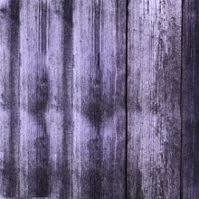 Purple painted wood planks showing knots and grain creating a rustic background.Belarus