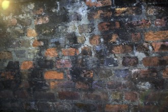 A fragment of an old brick wall, decorated with mold and dust