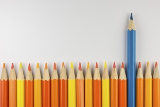 Abstract composition of a set wooden colour pencils against a white background